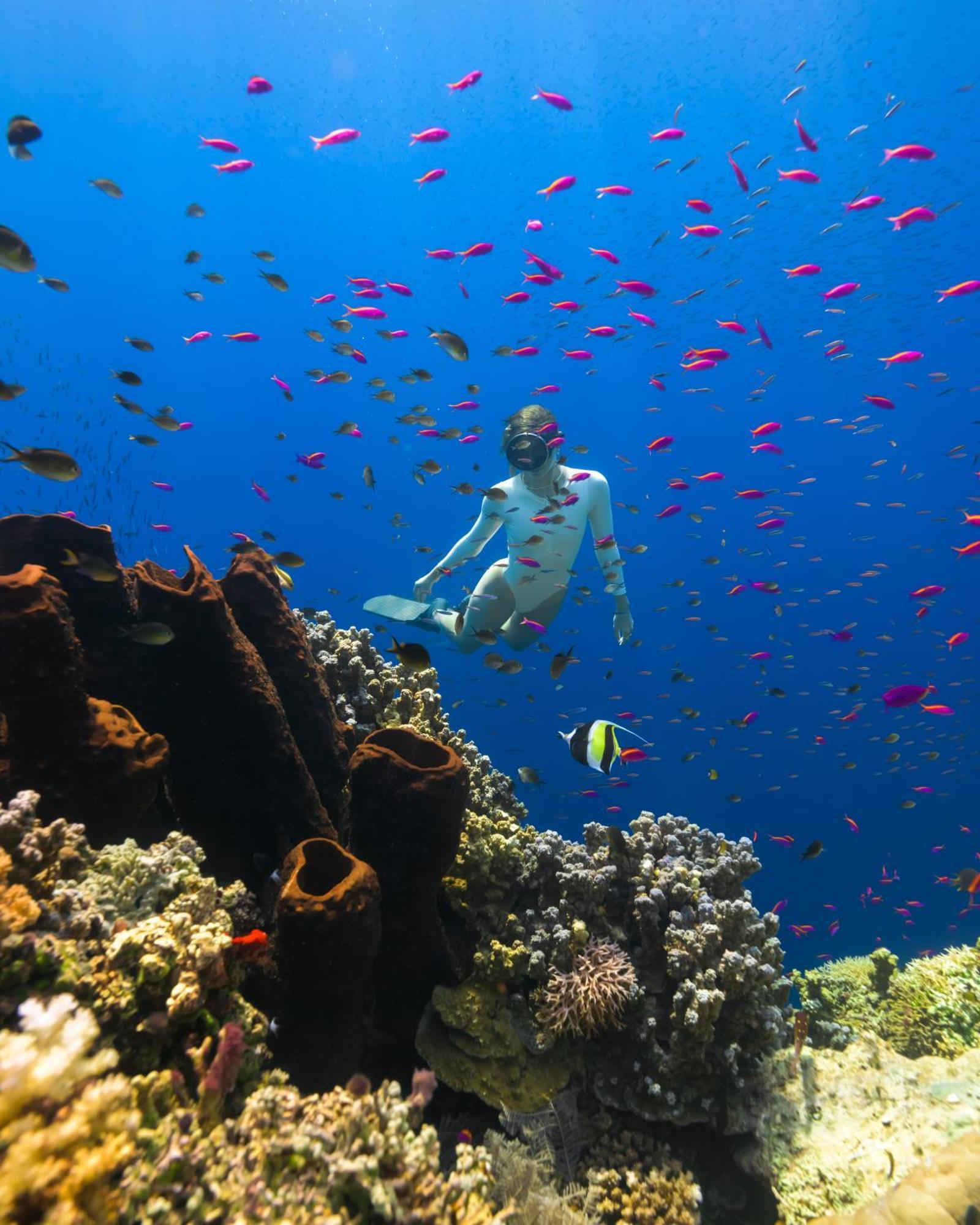 Reconnect - Private Island Resort & Dive Center Togean - Buka Buka Island Ampana Buitenkant foto